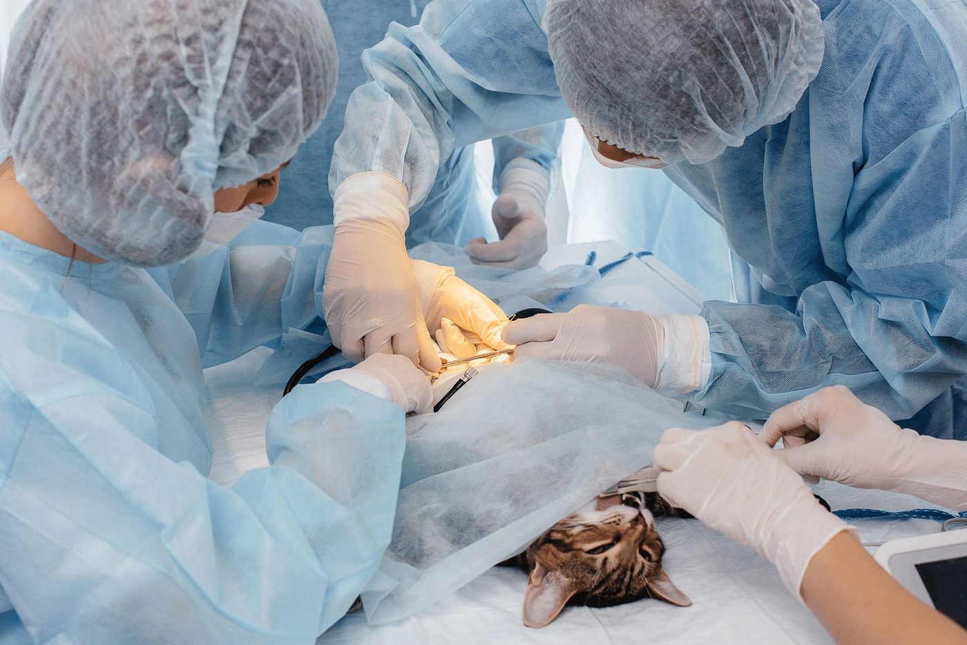 Surgical Equipment