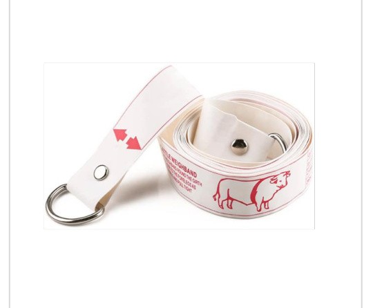 Weight Band