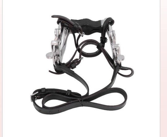 Speculam Horse