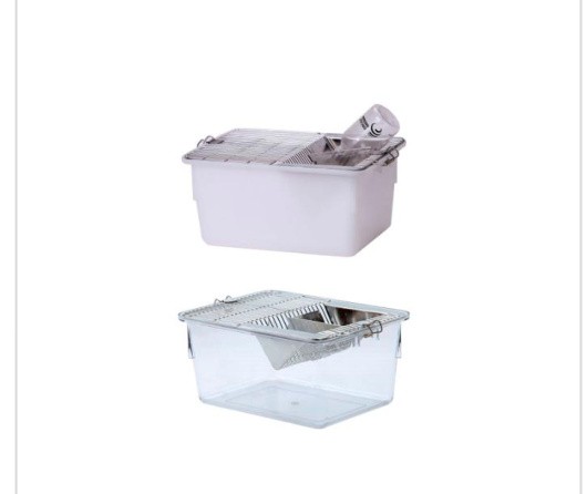 Cages For Small Rodents