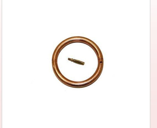 Bull Nose ring