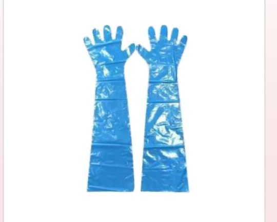 PD. Gloves long