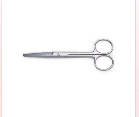 Mayo Scissors Sharp/Blunt