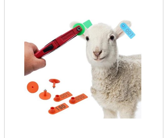 Goat Equipment