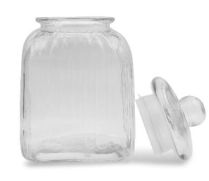 Specimen Jar - 4000 ml (VET242)